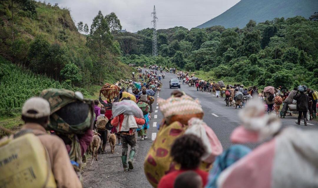 L’implication du CAE (Communauté d’Afrique de l’Est) pour la Paix en RD Congo est assise sur les objectifs économiques