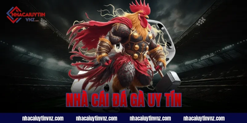 nhà cái đá gà uy tín